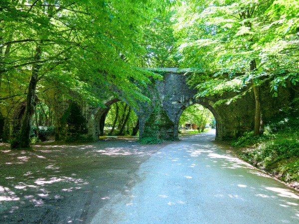 Belgrad Forest, Turkey